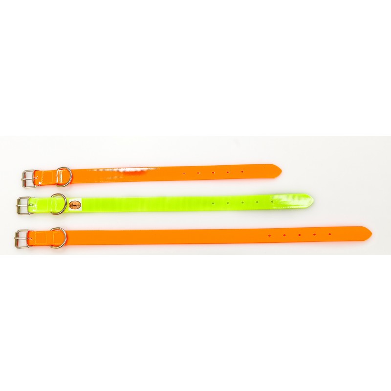 Collar perro biothane fluro
