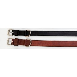 Collar perro nylon