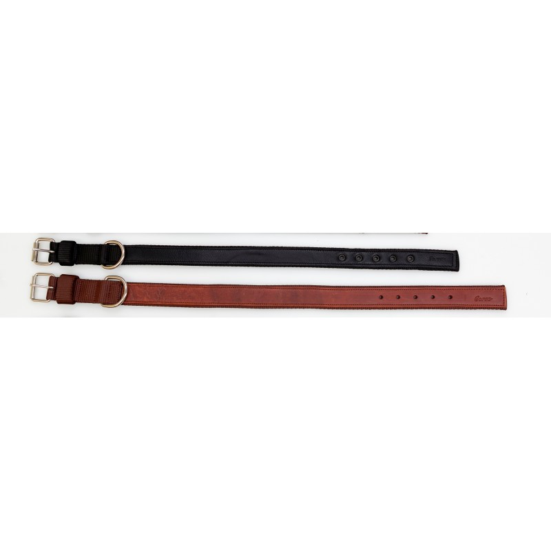 Collar perro nylon