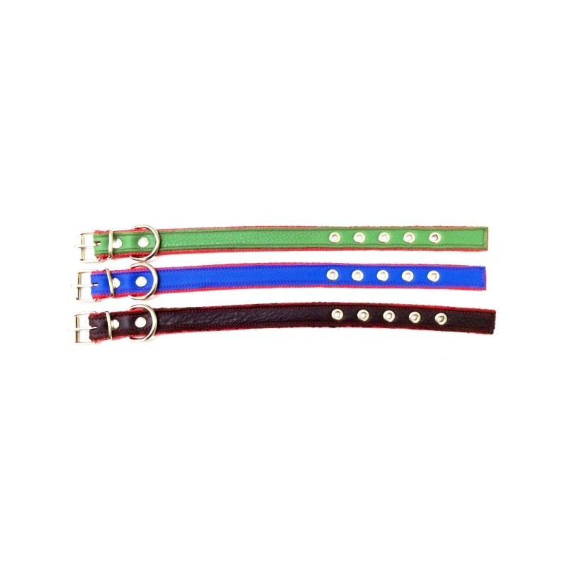 Collar perro nylon con cuero
