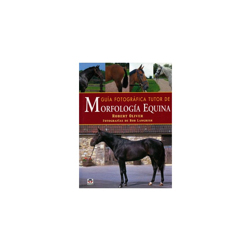 Libro: Morfología equina
