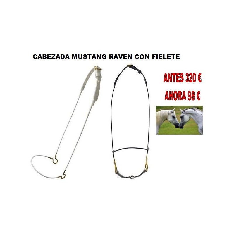 Cabezada Mustang