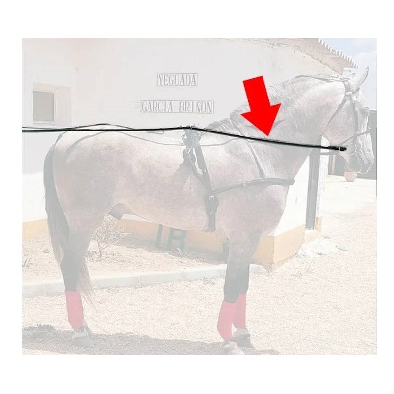 Rienda Enganche Cuero - Corzo