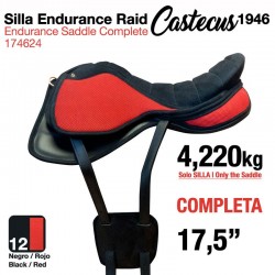 Silla Endurance Raid...